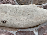 Large Carved Whale in White