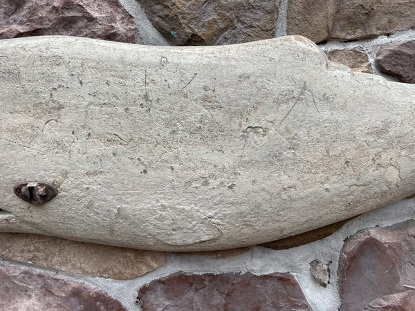 Large Carved Whale in White
