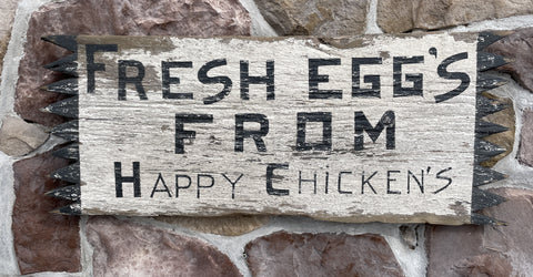 Fresh Eggs From Happy Chickens