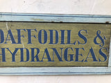 Daffodils and Hydrangeas on antique shutter