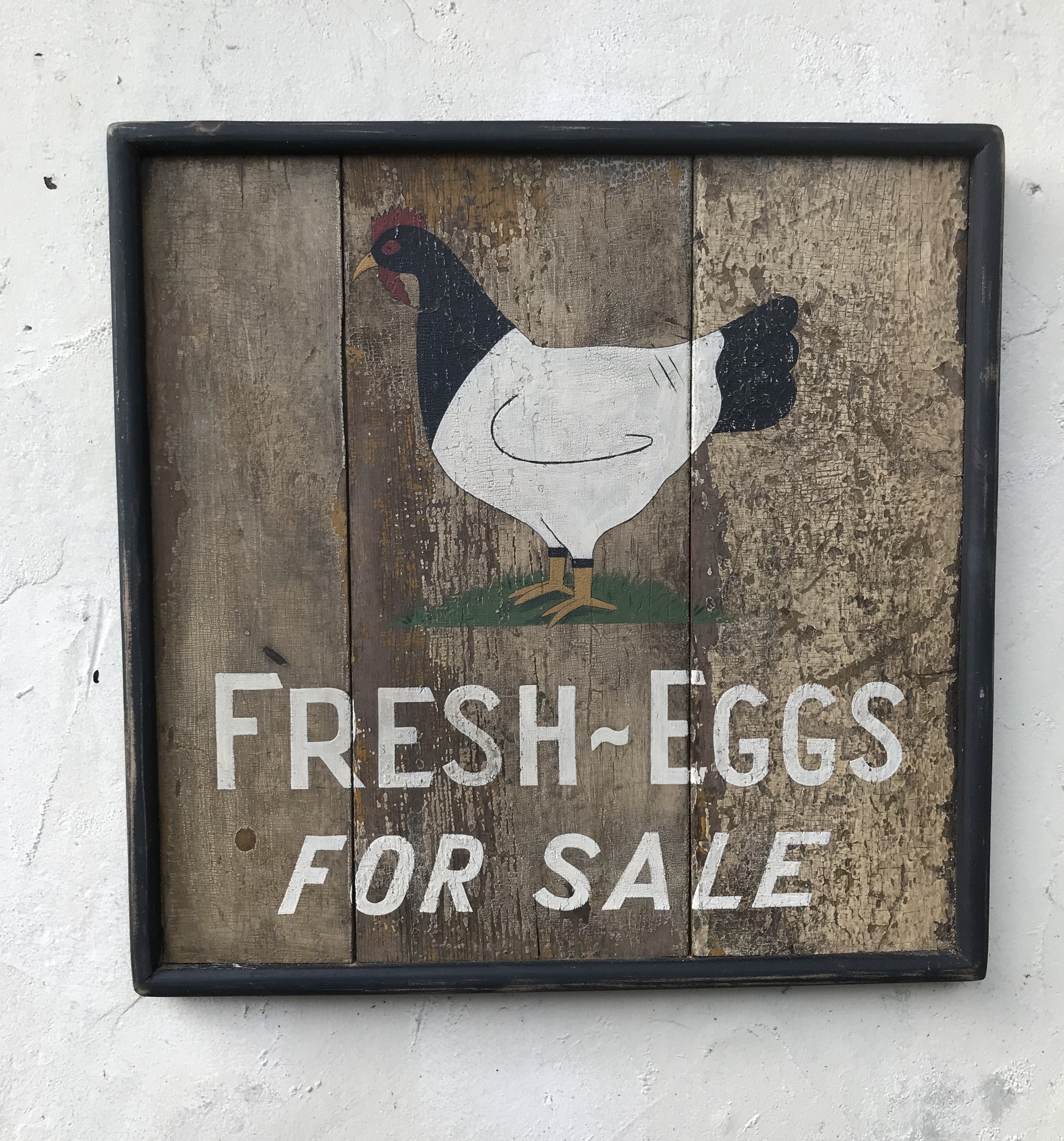 Fresh-Eggs For Sale