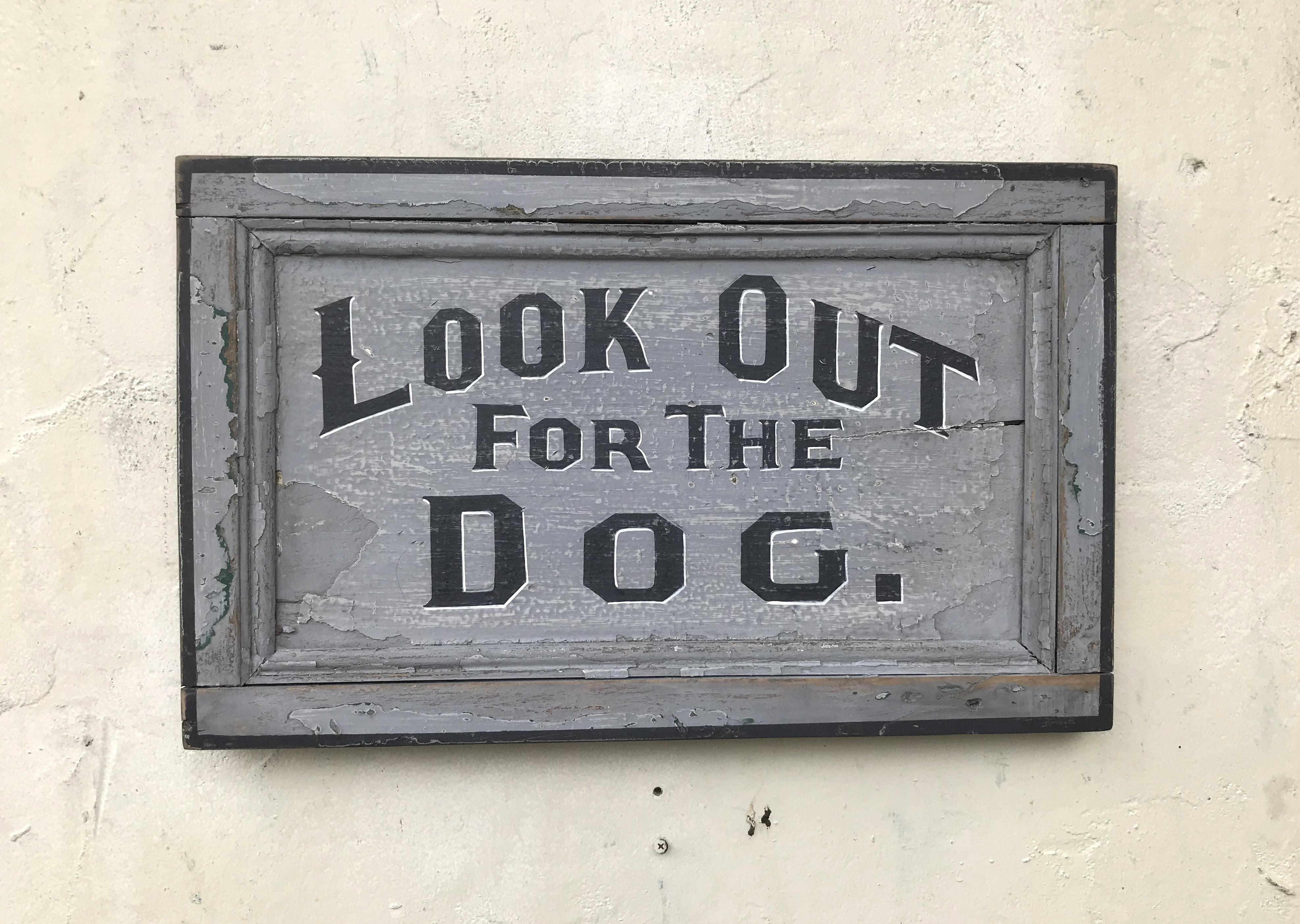 Look Out For The Dog