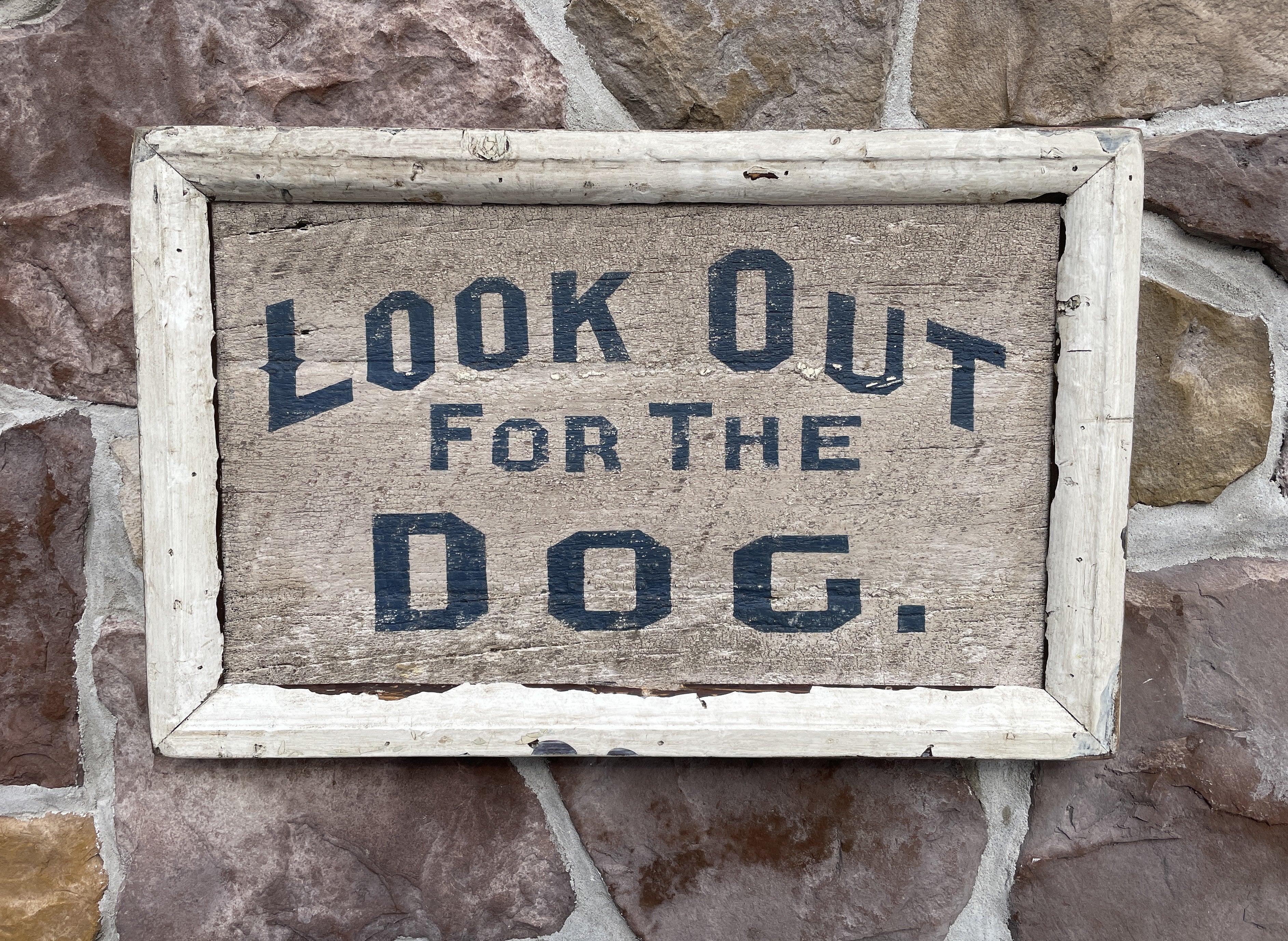 Look Out For The Dog