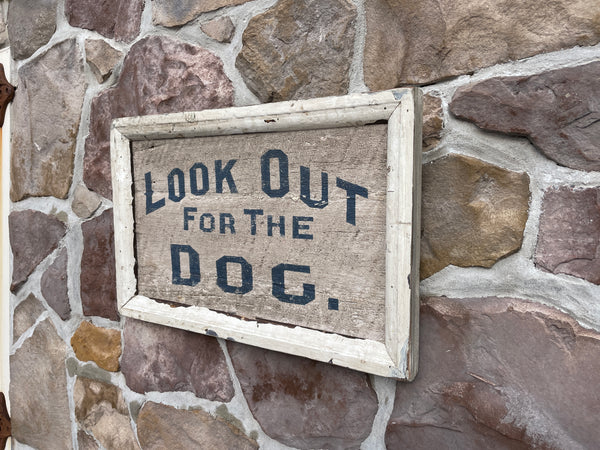 Look Out For The Dog