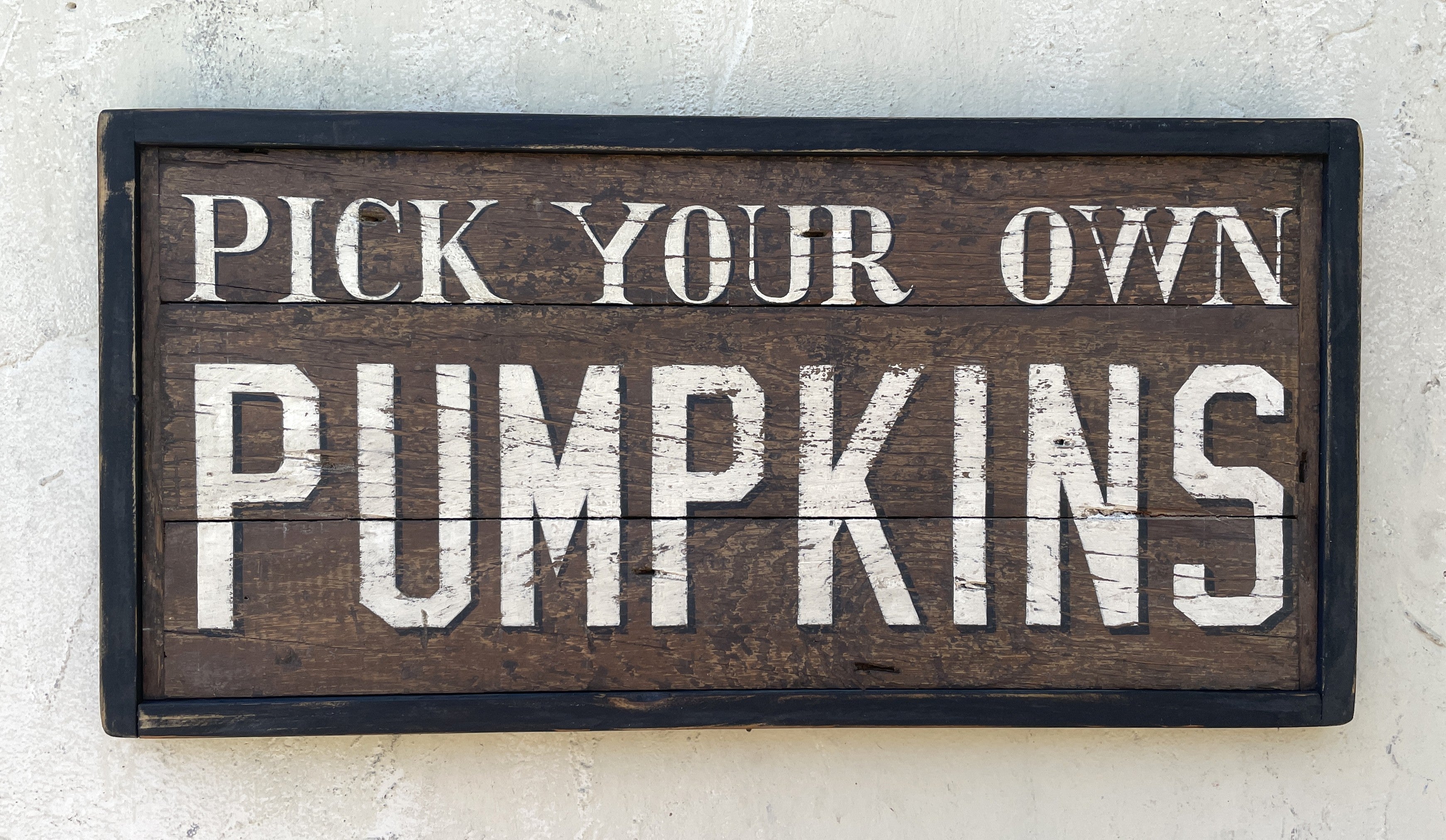 Pick Your Own Pumpkins