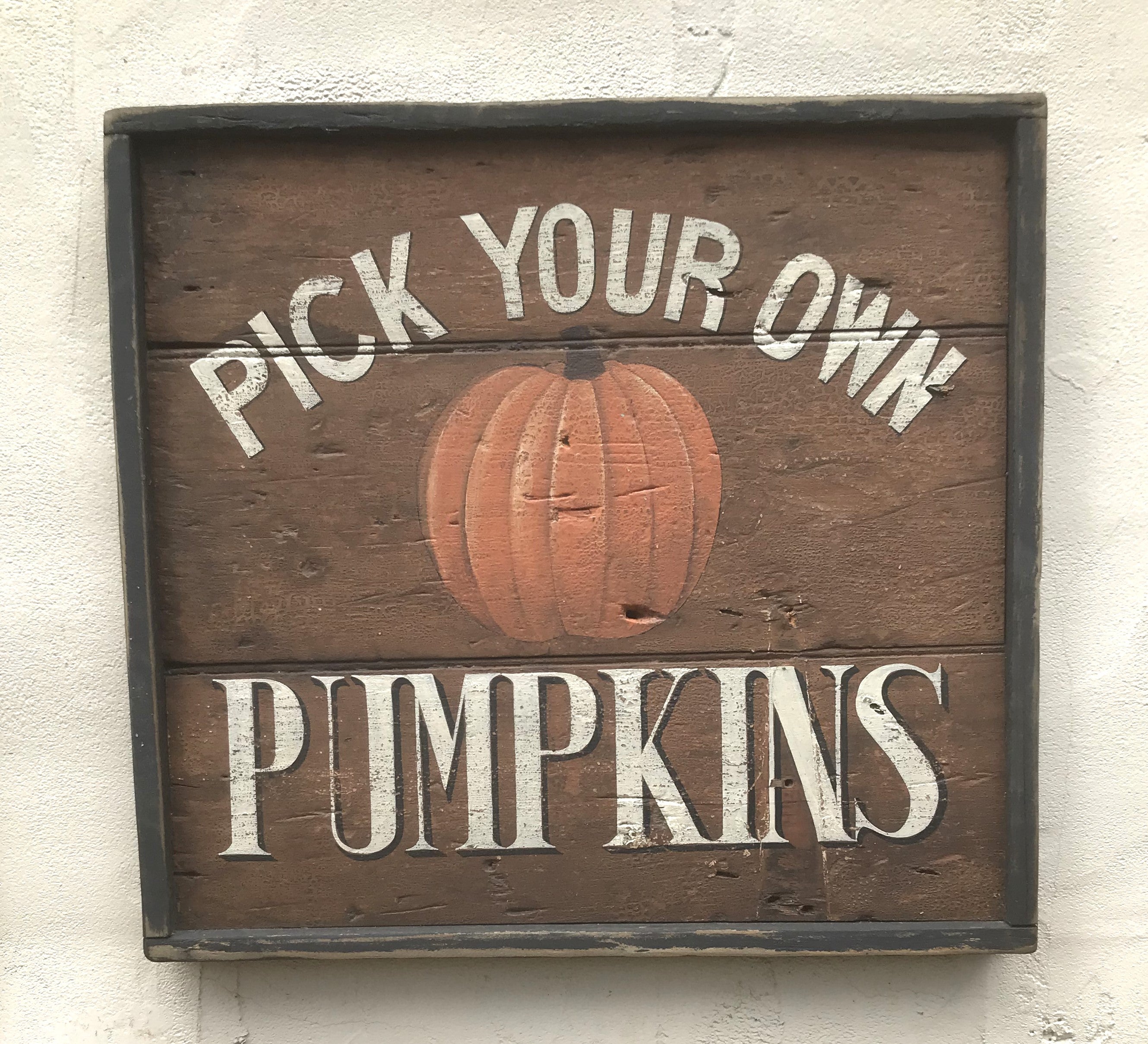 Pick Your Own Pumpkins