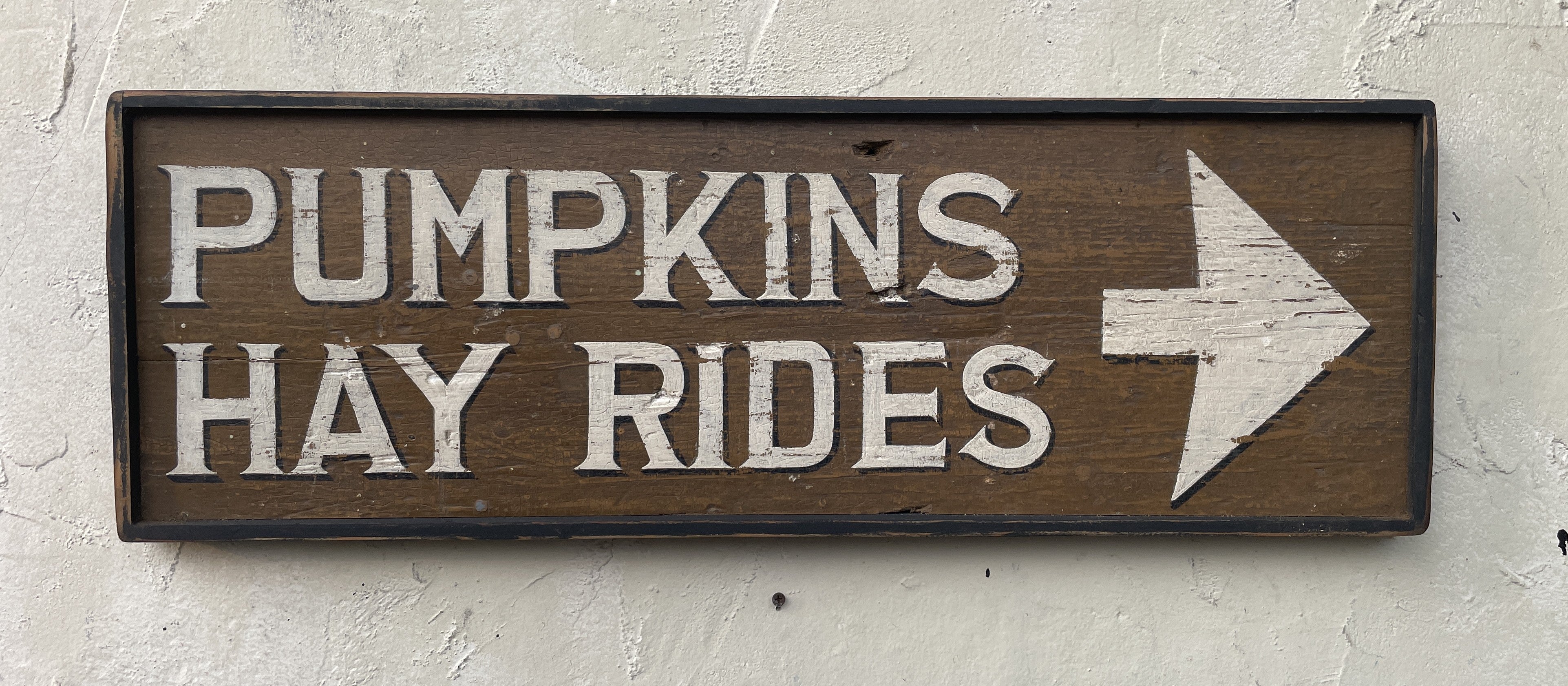 Pumpkins-Hay Rides