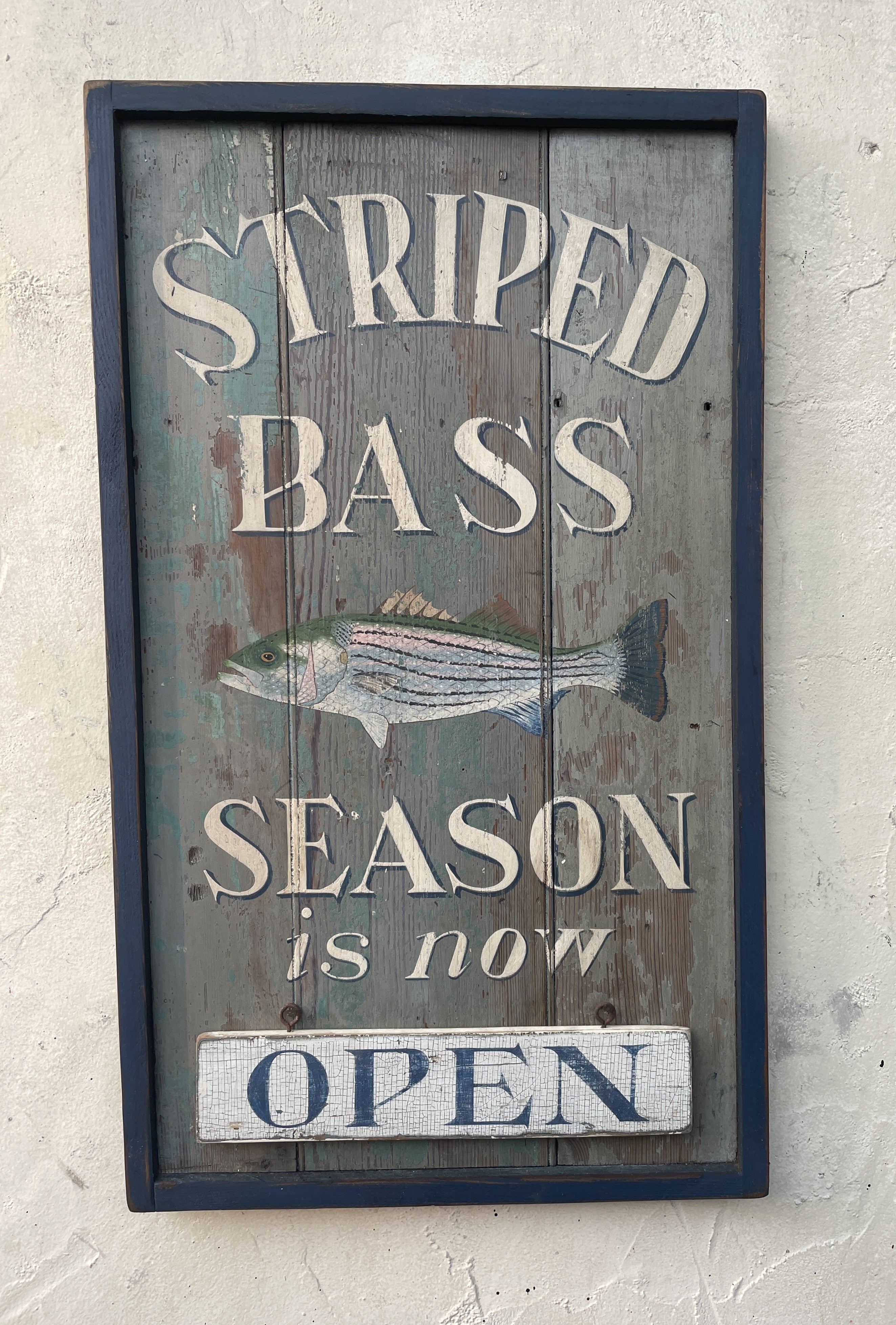 Striped Bass Season