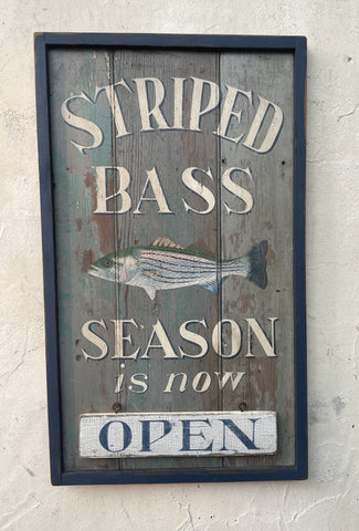 Striped Bass Season