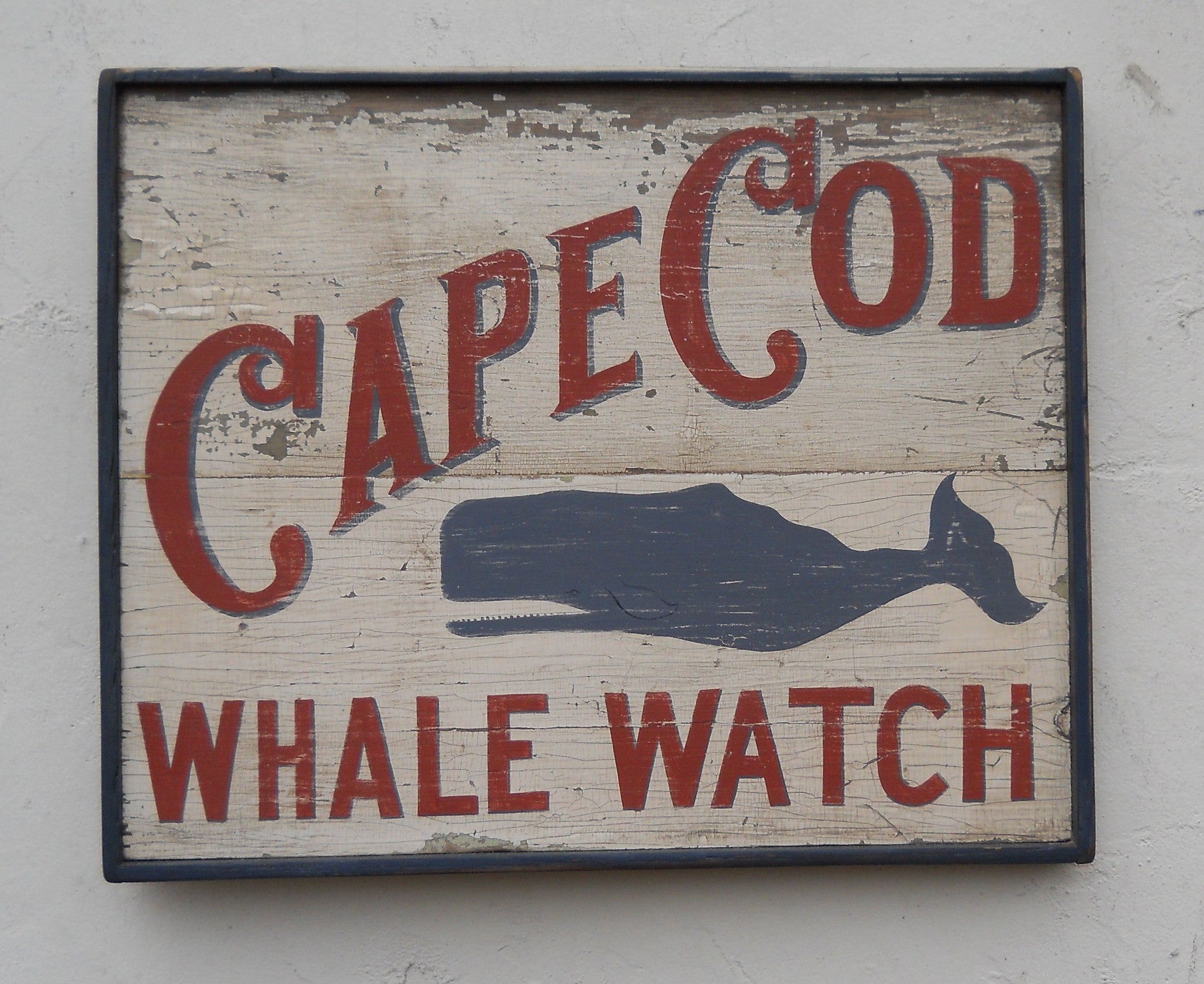 Cape Cod Whale Watch