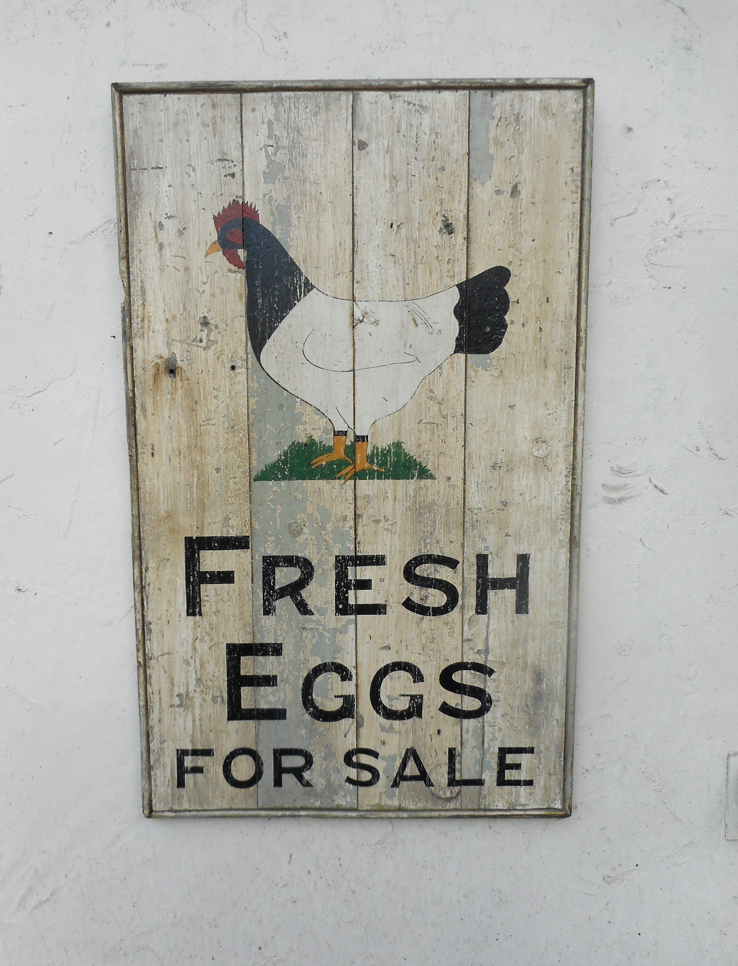 Fresh Eggs for Sale