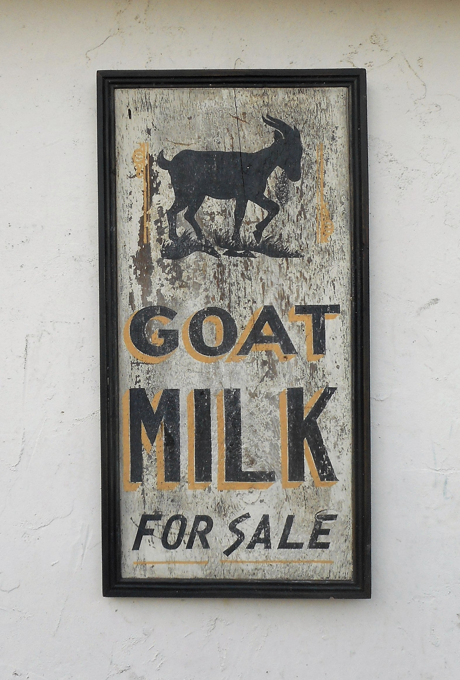 Goat Milk For Sale