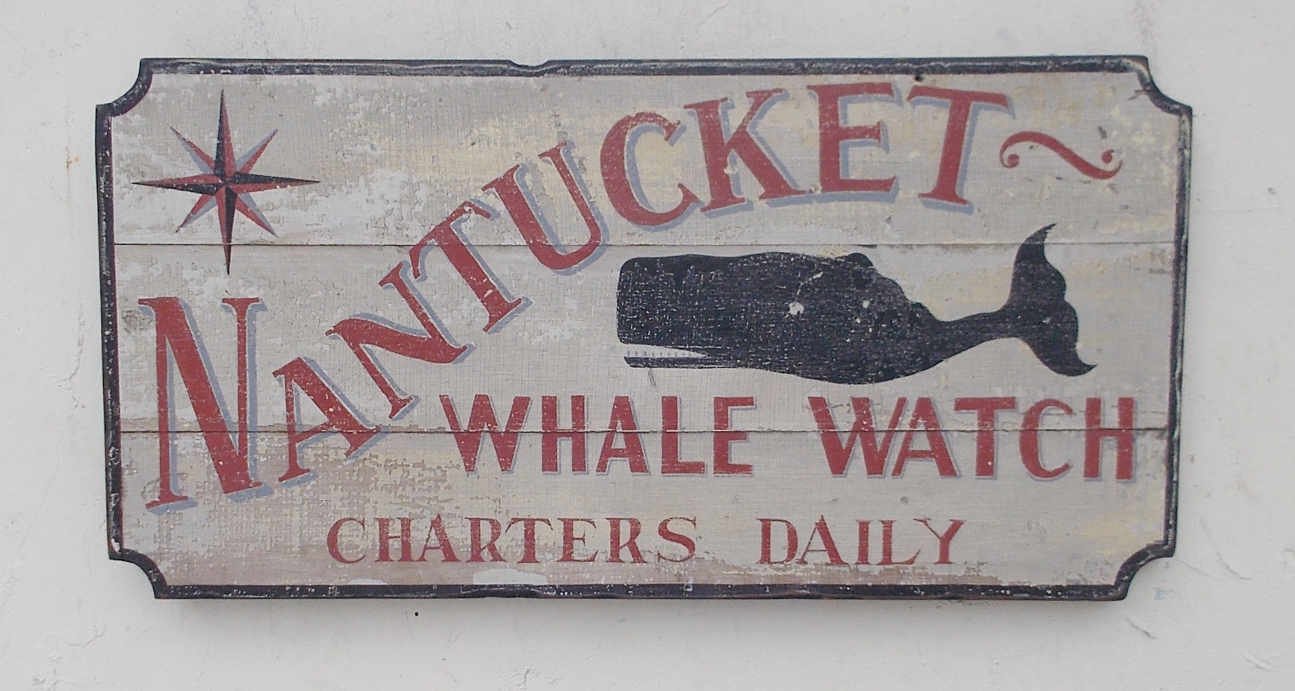 Nantucket Whale Watch