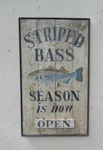 Striped Bass Season
